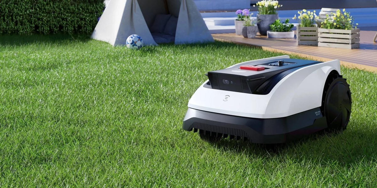 A robot on the grass