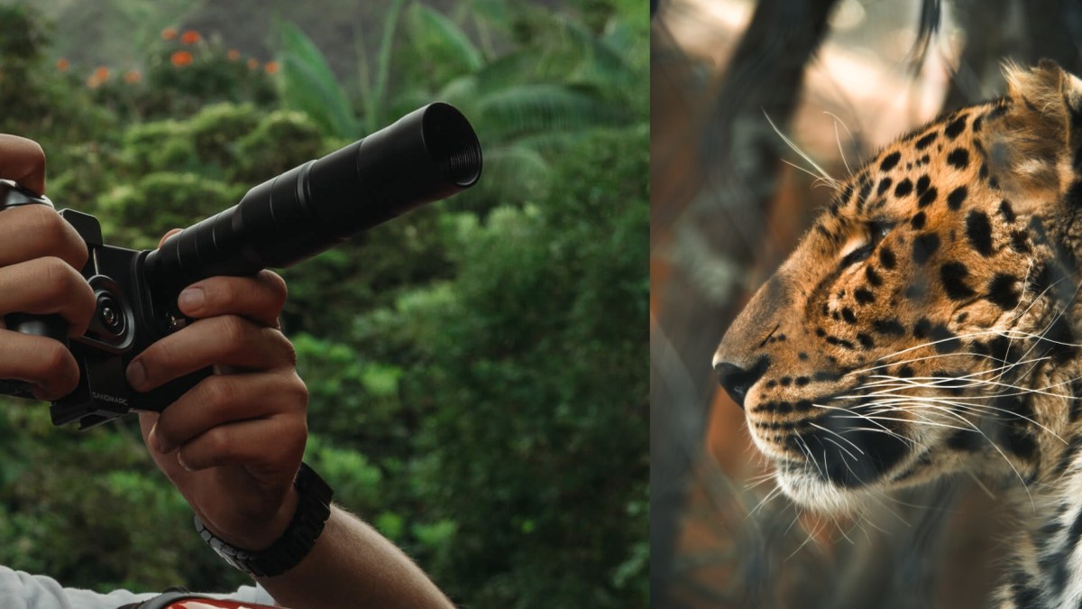 A person holding a telescope and looking at a tiger